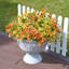 Artificielle artificielle, automne, automne, mamans, plantes, fleurs pour l'extérieur-644417274