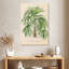 Harnek Palmier II-108445809