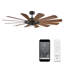 Ventilateur de plafond intelligent à DEL 65 pouces à 12 pales et à intensité variable avec télécommande et ensemble d'éclairage inclus-83110756