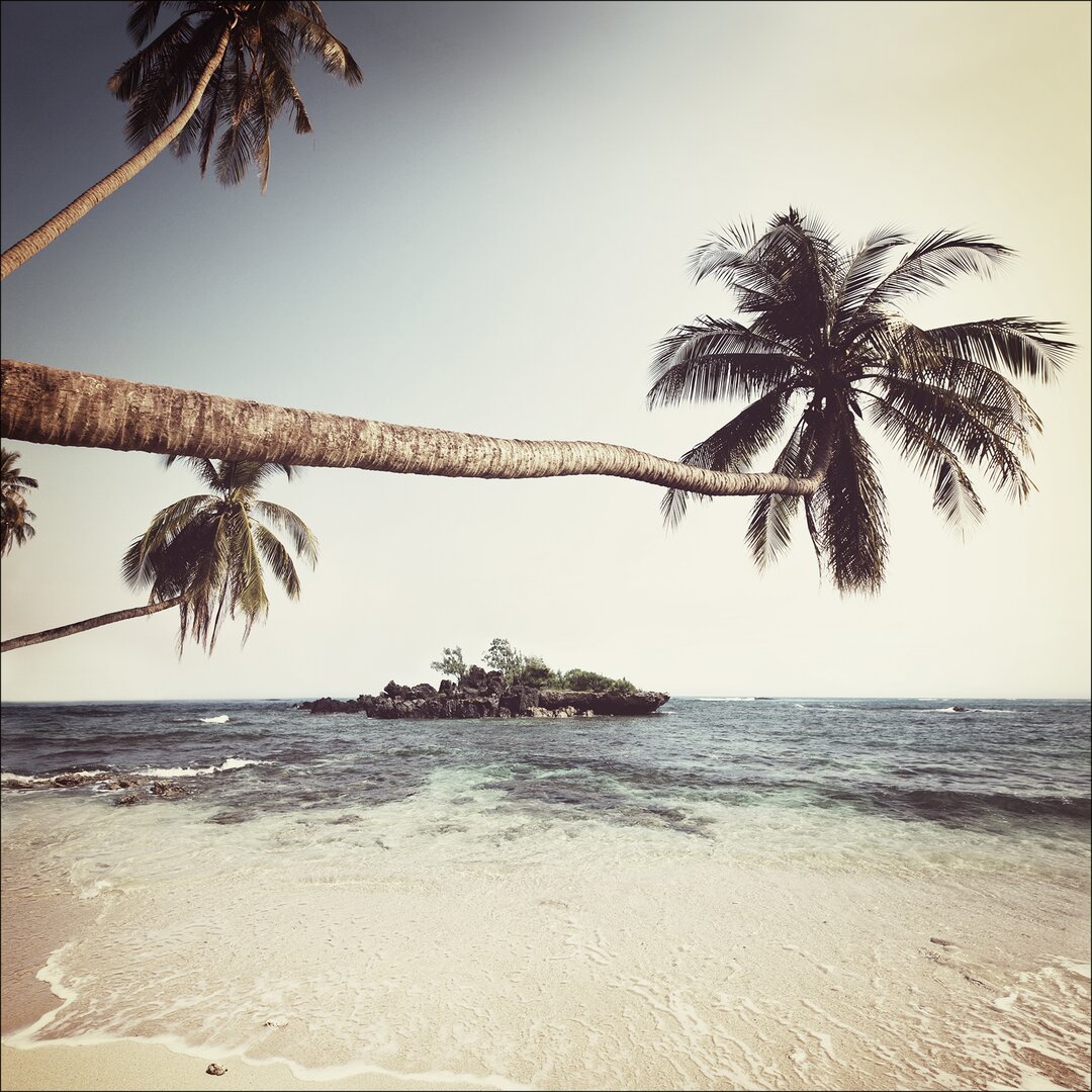 Leinwandbild Palms On Beach I