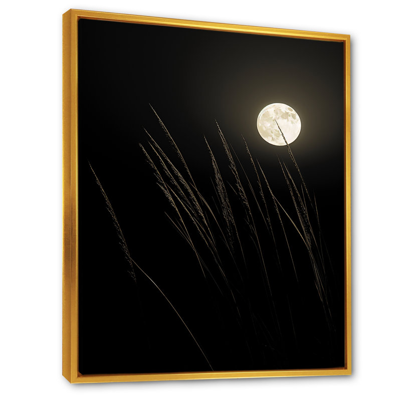 Ivoire, isolement au clair de lune I, H 32 po x l 16 po x P 1 po, Cadre flottant doré
