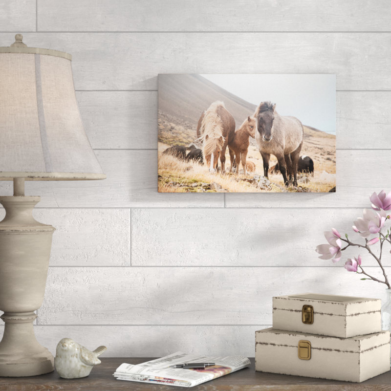 Horses of Hofn I 1 Piece Wrapped Canvas Wall Art, 30cm H x 46cm W