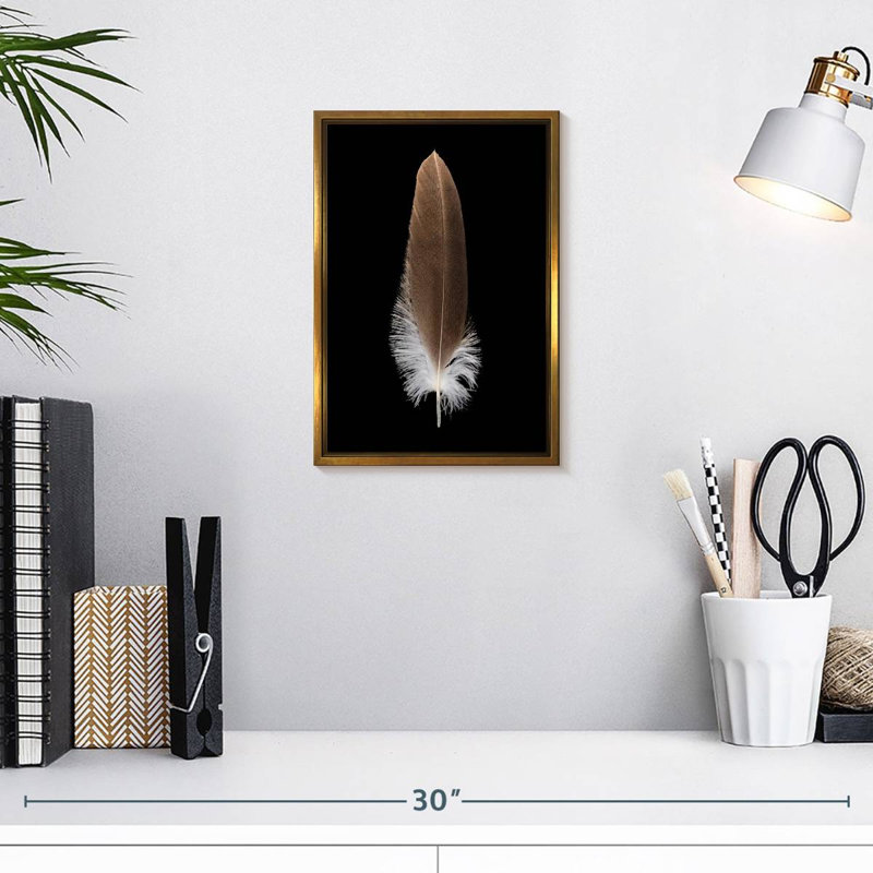 Eagle's Brown Feather, Floating Frame Gold, 9" x 13"