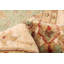 Tapis vert clair Chobi Finest 8 pi 9 po x 11 pi 9 po