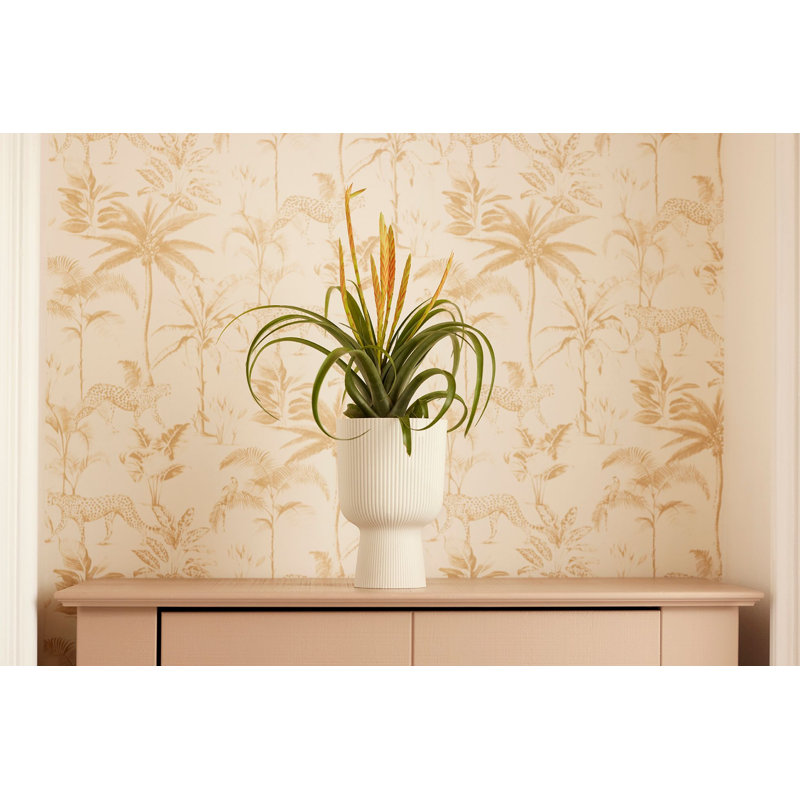 Pot Planter, Silky White