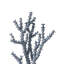Ensemble de 2 figurines / sculptures corail bleu