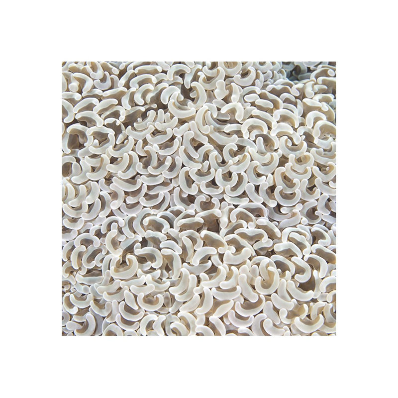 Underwater Beauty VIII Print by Austin Beiv, 30" H x 30" W x 1.5" D, Matte