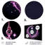 Art mural en métal Moon Moon-602960308