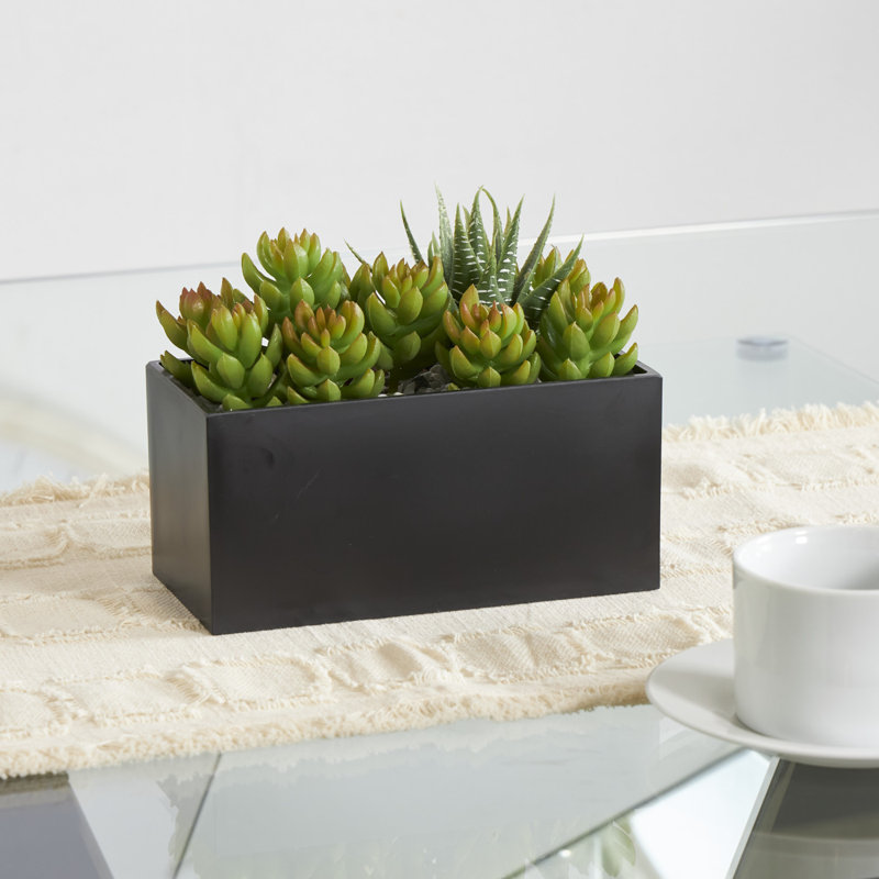 Faux plante grasse en pot de mélamine 6,5 po Bayviewpark