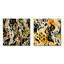 Cordeelia - Ensemble de 2 collages carrés abstraits-102163080-102163082