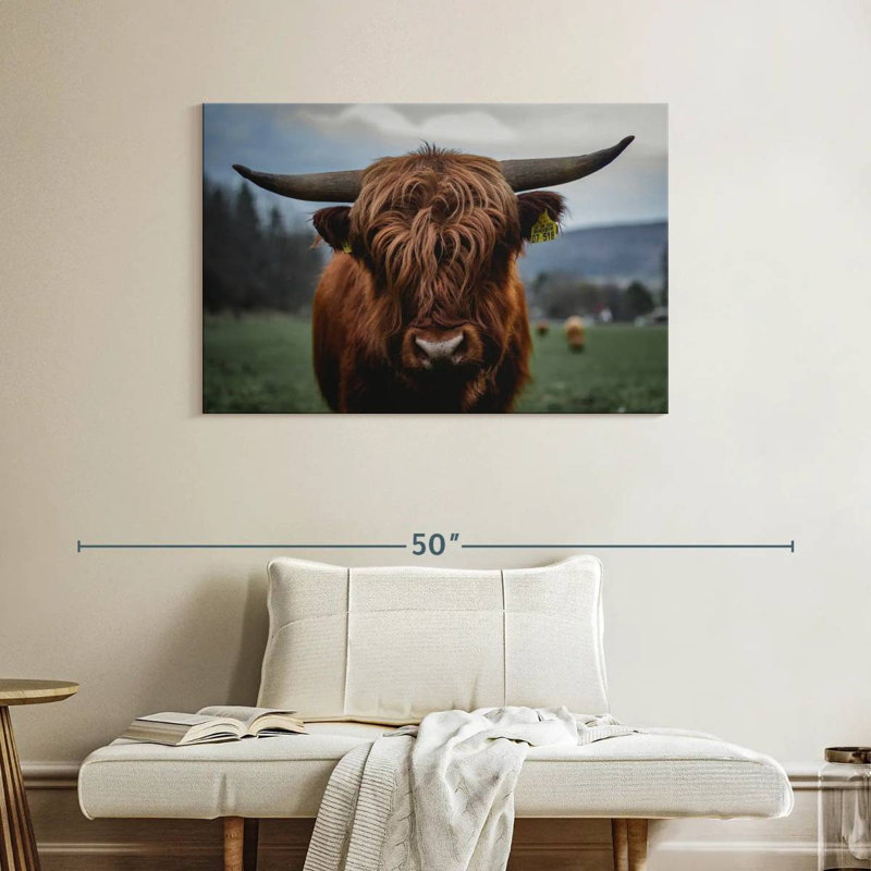 Brampt German Highland Cow, 26" H x 39" W