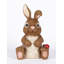 LAPIN ASSIS AVEC COCCINELLE
