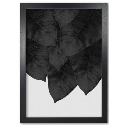 Banana Leaf III - Single Picture Frame Print