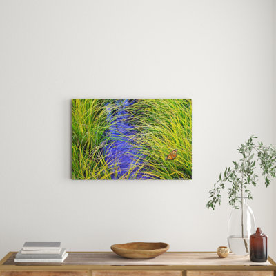 Chris Vest - Wrapped Canvas Print
