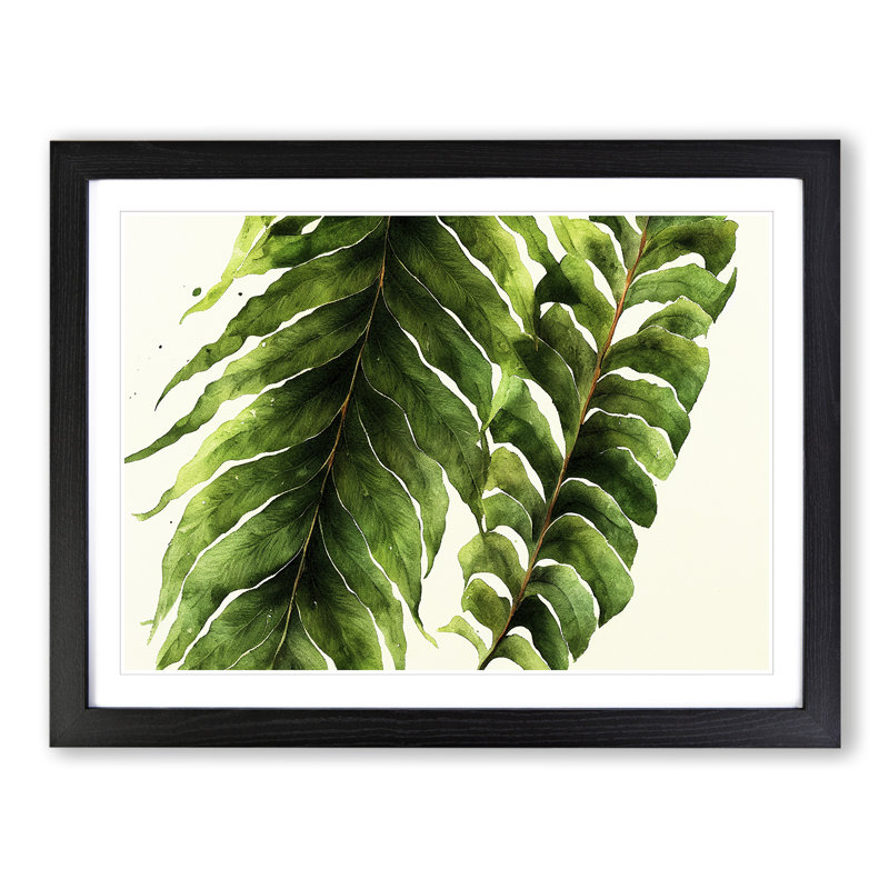 XH1022-9831X Fern Leaf Vol.3 - Single Picture Frame Print, Black Framed, 46cm H x 64cm W x 2cm D