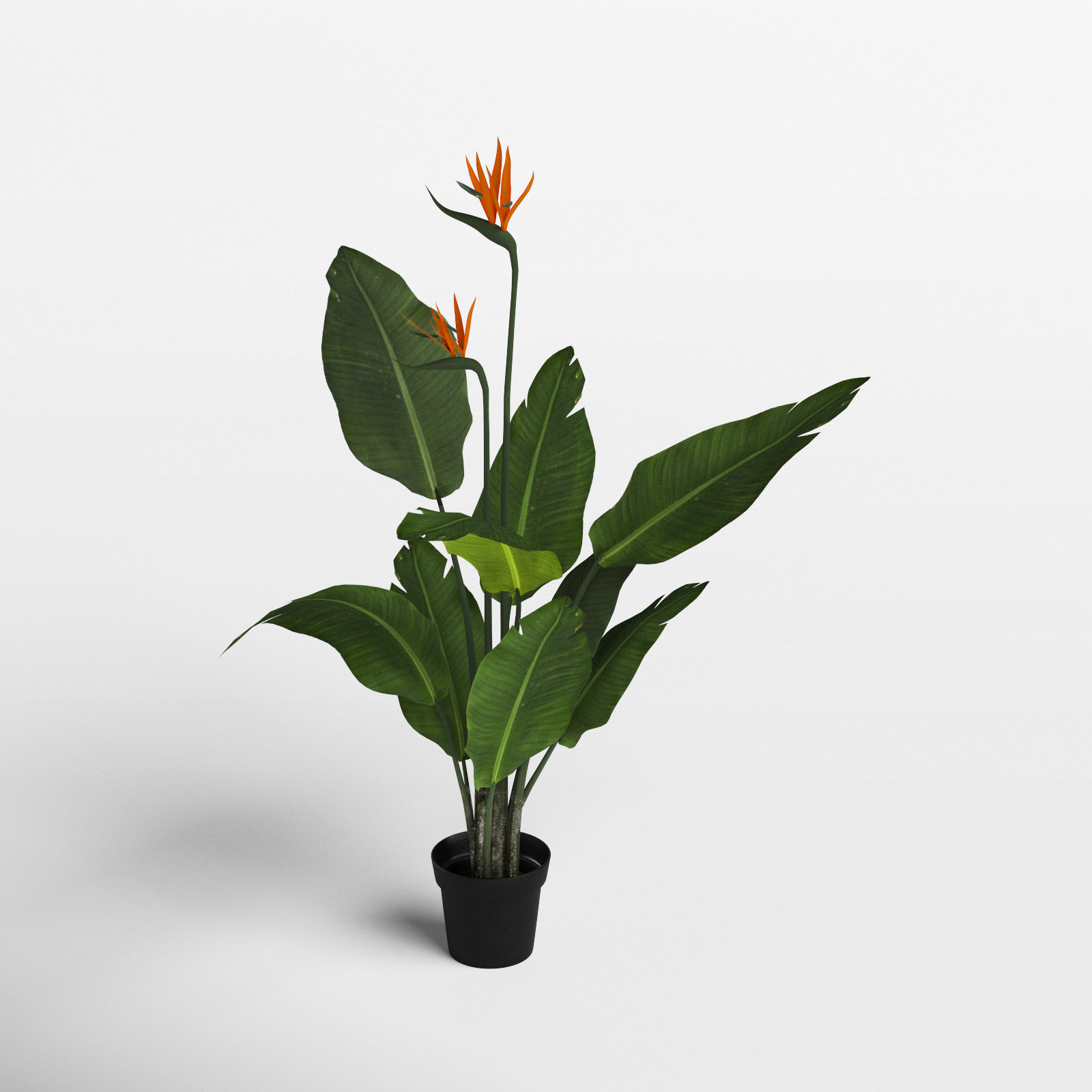 The Twillery Co. Artificial Potted Bird of Paradise Palm Tree & Reviews