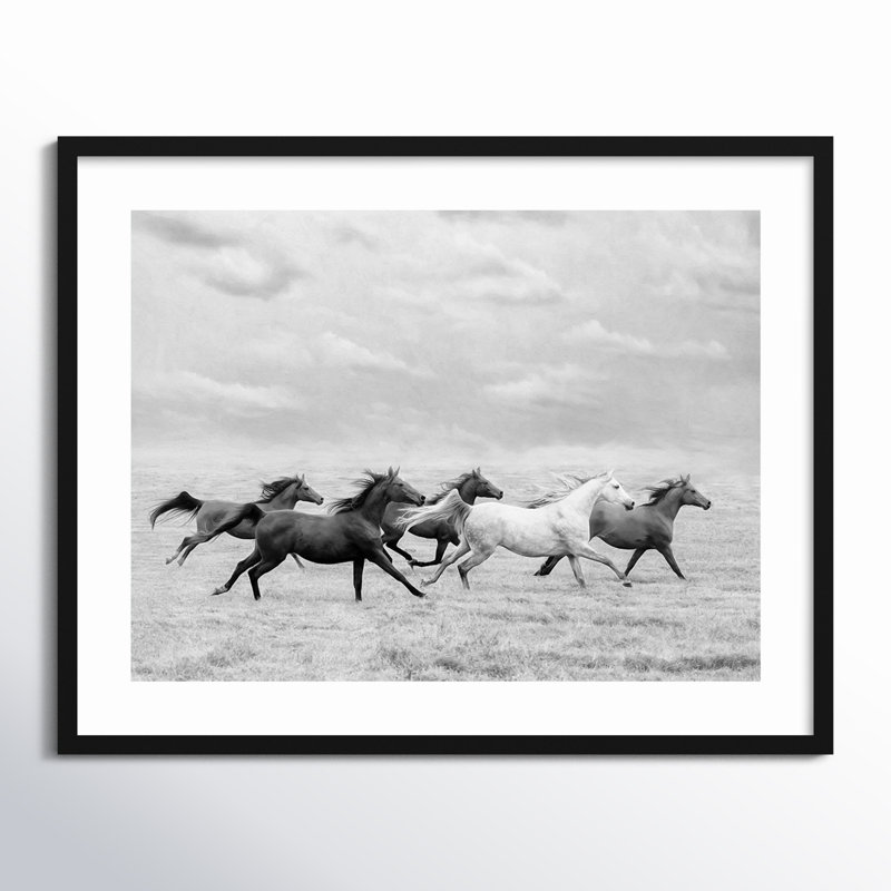 Horse Run I by PHBurchett, 27" H x 33" W, Black