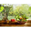 Bols de service jetables - compostables