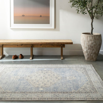 Oriental Area Rug