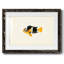 Collection de poissons tropicaux II-1006590453-1006590454