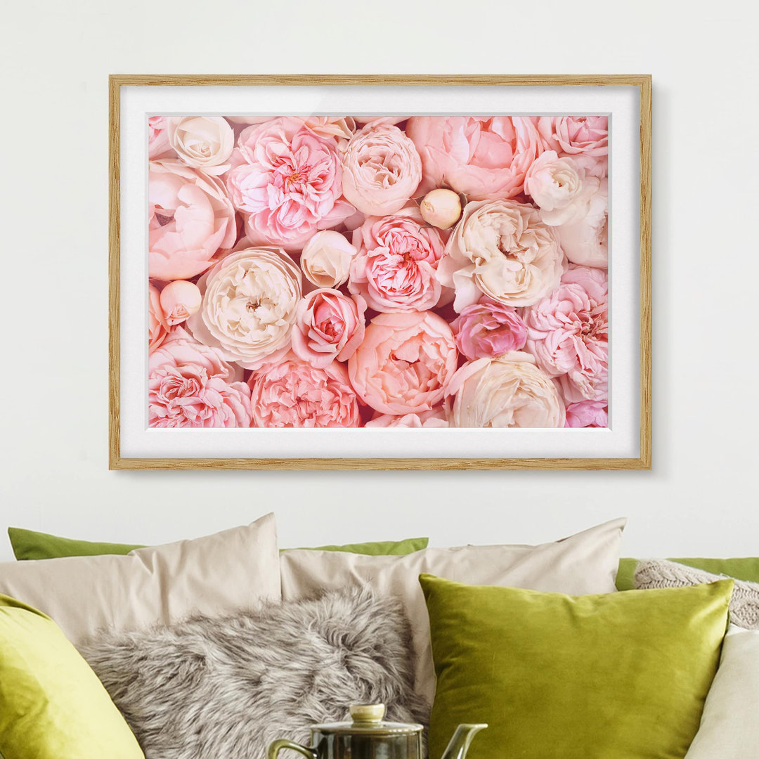 Gerahmter Grafikdruck Roses Coral Shabby