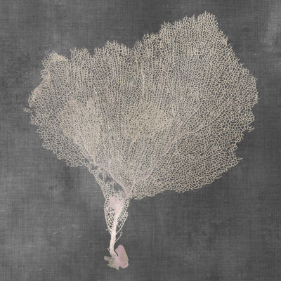 Éventail naturel