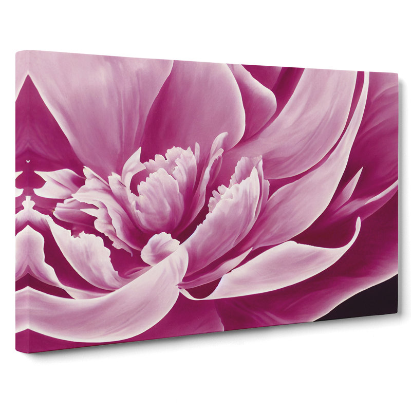 Awesome Peony Flower - Wrapped Canvas Print, 35cm H x 50cm W x 3cm D