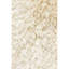 Celecot Hand Loomed Area Rug in Off White-1389938169