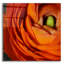«Orange Flower Close Up» par Tom Quartermaine-499981868