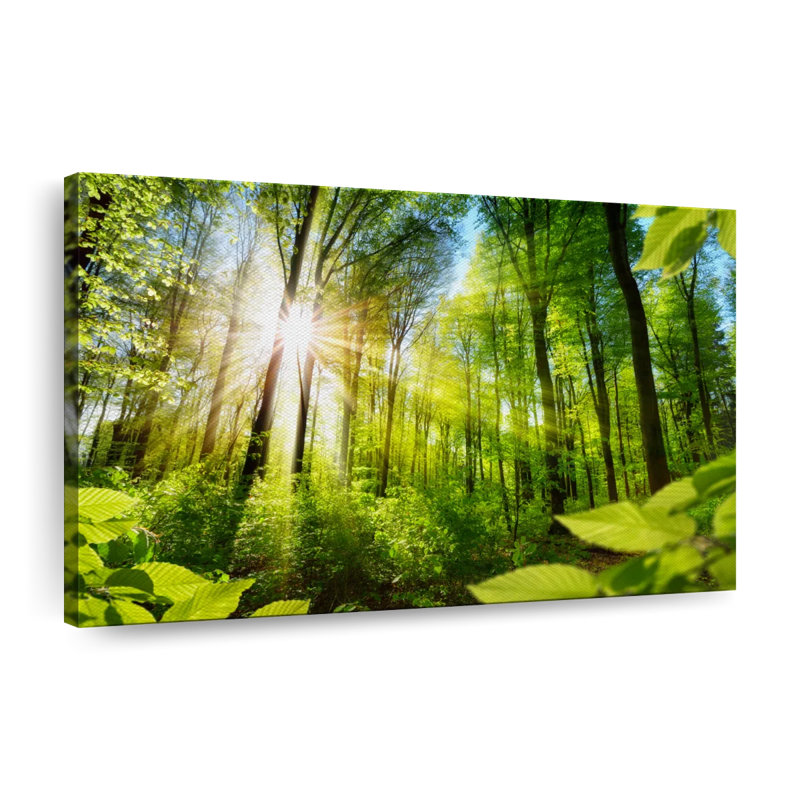 Forêt ensoleillée sur toile, H 16 po x l 24 po