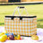 Panier à pique-nique pliable de grande capacité
