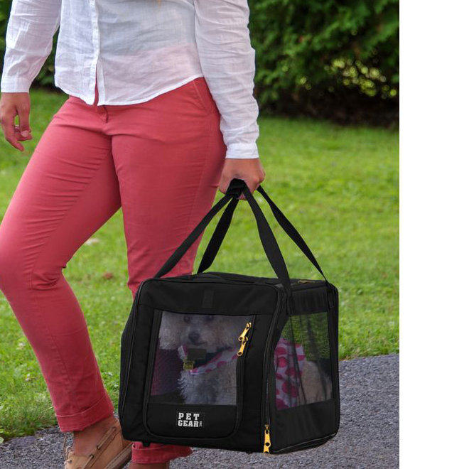 Collapsible Pet Carrier with 2 Doors