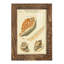 Coquilles de martini antique III sur papier-2027799083-2027799087