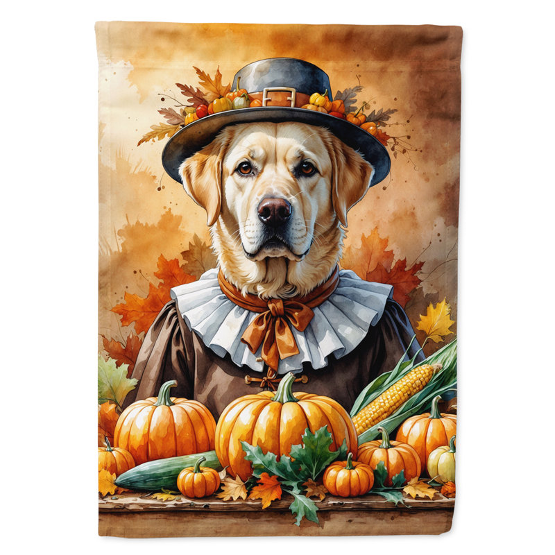 Drapeau de l'Action de grâce, Labrador Retriever jaune