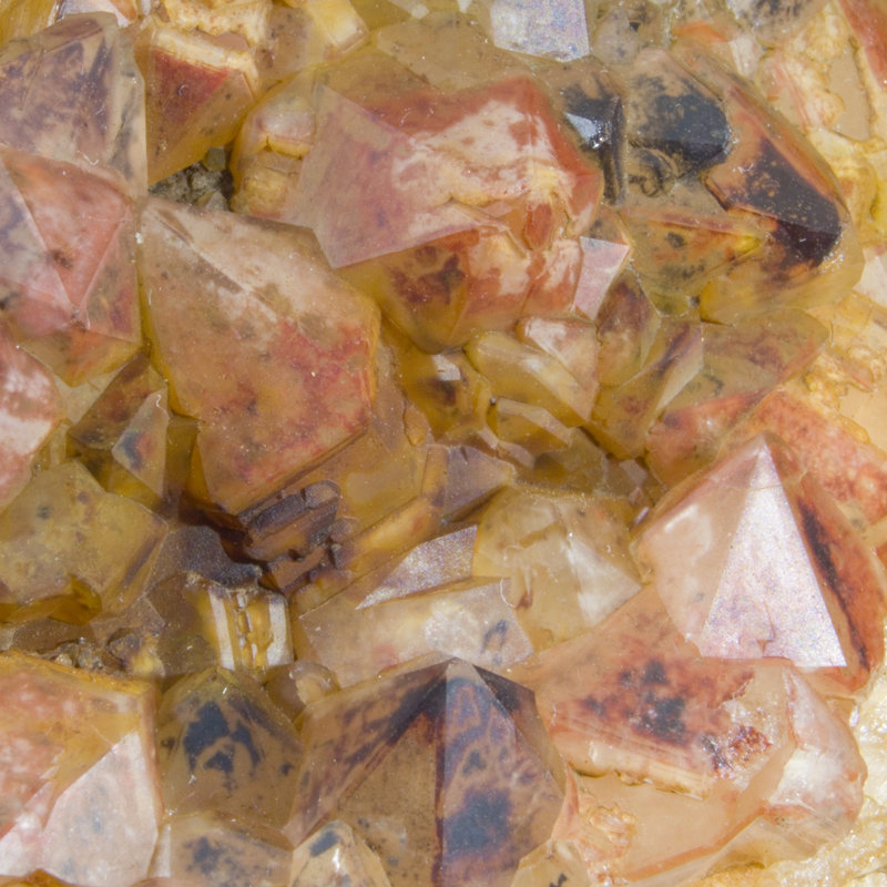 Hématite et goethite inclus Quartz sur la fluorescente - Sidi Said, Maroc
