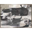 Study Of Gray VII Painting-559956691