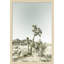 «Joshua Tree National Park» par Korekiyo, impression sur bois encadrée-1363071593