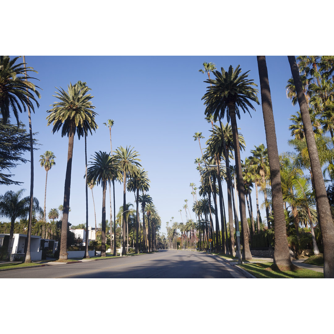 Beverly Hills Street von Stellalevi - Druck