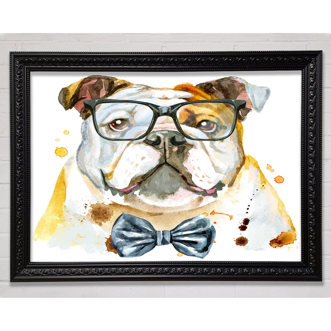 Die Bulldogge mit Brille Gerahmter Druck