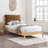 Abigail Vegan Leather Bed-1550449890-1556520998