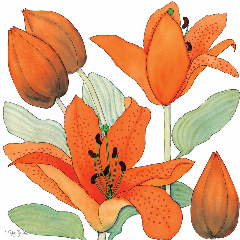 Ensembles de housse de couette en microfibre DiaNoche par Judith Figuiere - Orange Lillies