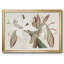 Amaryllis Varietals II, reproduction d'art sur toile-271787504-271787507