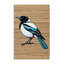  Tapis lavable Eurasian Magpie Birds-555124257