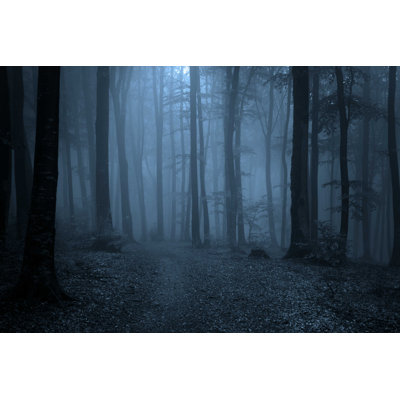 Foggy Forest - Photographie sur toile tendue
