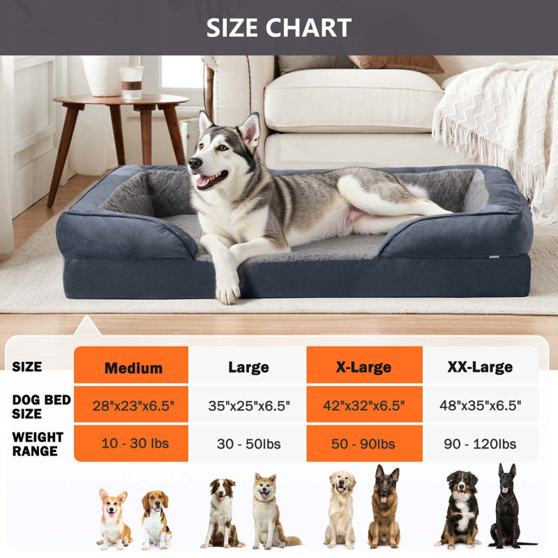 Lit pour chien avec support orthopédique en mousse à mémoire de forme, traversins, housse lavable facile à nettoyer, doublure imperméable et fond antidérapant