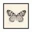 «Butterfly V in B&W», impression sur toile-20825829-72807420-72807421