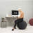 Alfa Ergonomic Ball Chair-945266679