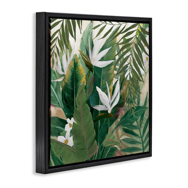 Oiseaux tropicaux de paradis, Cadre flottant noir de jais, H 18 po x l 18 po