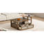 Table basse avec rangement-1554208610