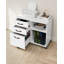 Bryam 80cm Wide 3 -Drawer Mobile File Cabinet-182410406